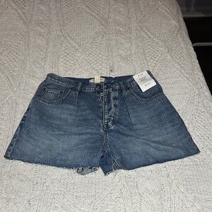 NWT Madewell Blue Jean Shorts (W28)